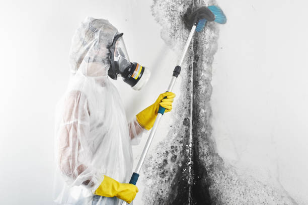Best Mold Prevention Services  in Childersburg, AL