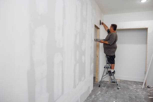 Reliable Childersburg, AL Mold Removal Solutions