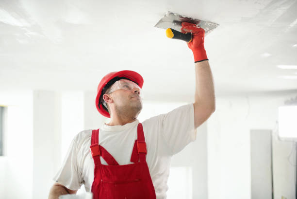 Environmental Consulting for Mold Prevention in Childersburg, AL