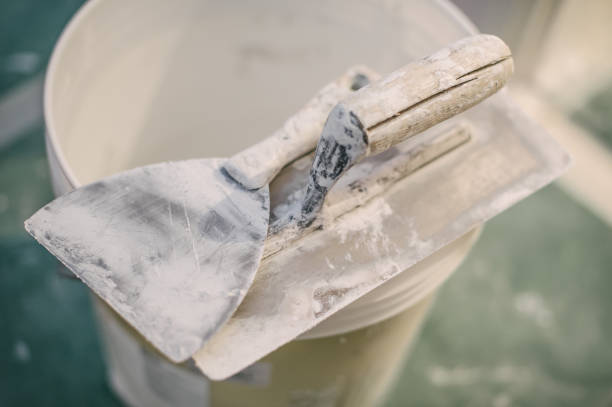 Best Asbestos and Lead Testing During Mold Inspection  in Childersburg, AL